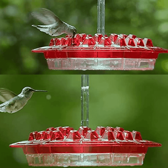 Cromos | Mangeoire à Colibris Anti-Fourmis avec Perchoir Suspendu