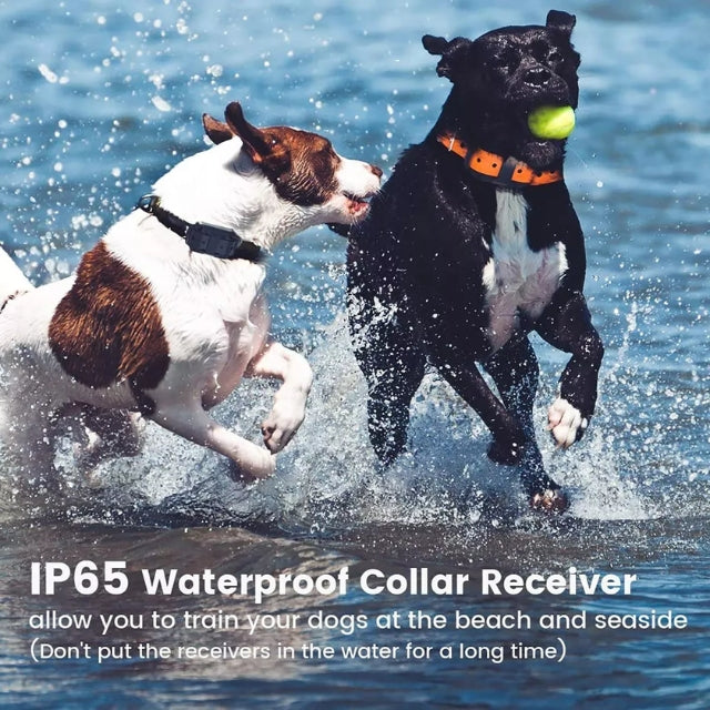 Cromos | Collier de Dressage Électronique Chien – Norvo