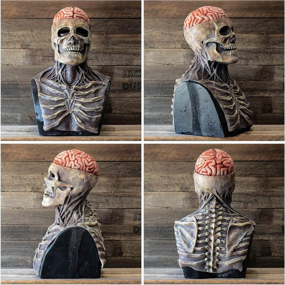 Masque Crâne avec Détail Cerveau – Cromos