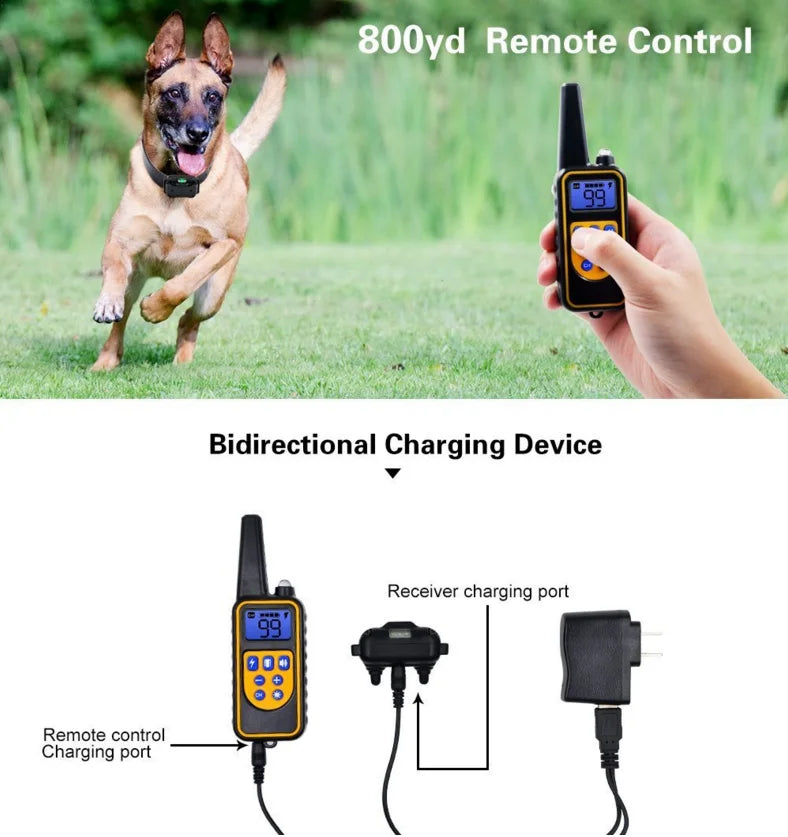 Cromos | Collier de Dressage Électronique Chien – Norvo