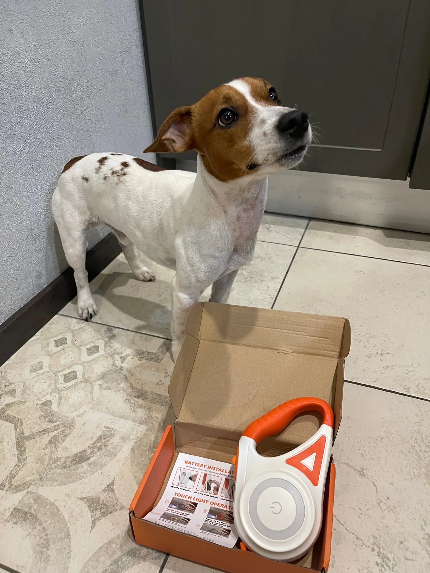 Cromos | Laisse LED Sécurisée pour Chien – NoblePaws