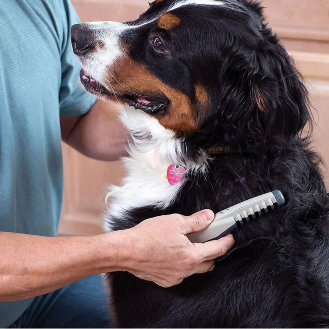 Cromos | Tondeuse pour animaux sans nœuds – toilettage sans douleur pour chiens et chats tous types de pelage