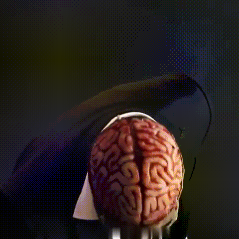 Masque Crâne avec Détail Cerveau – Cromos