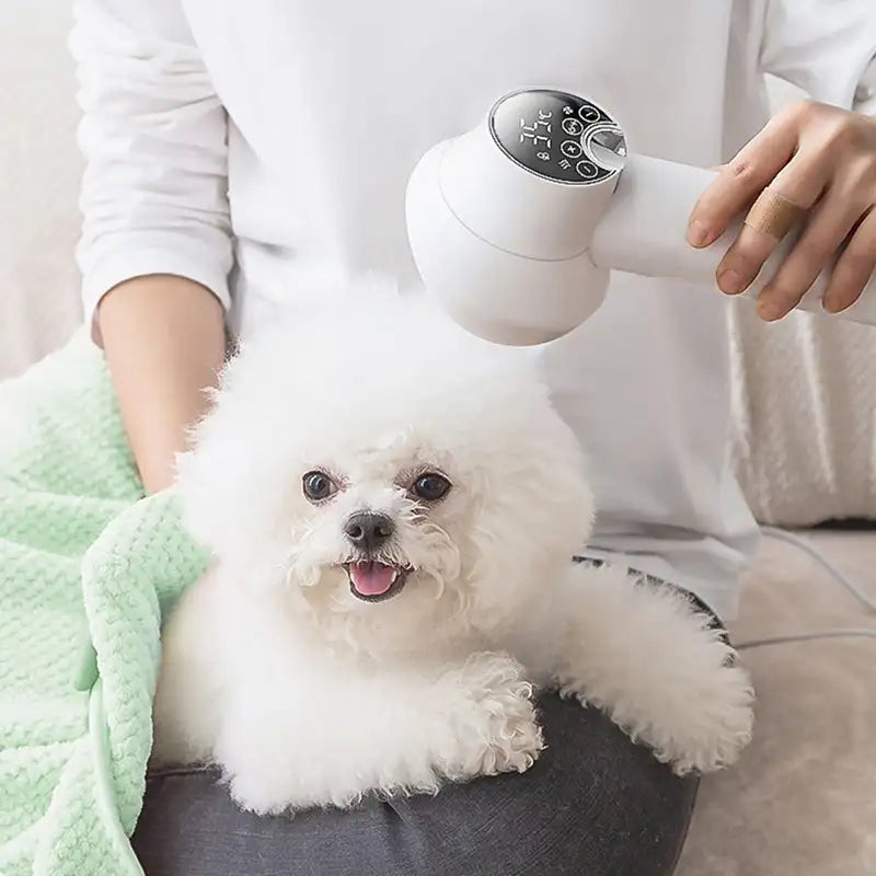 Cromos | Accessoire Toilettage Animaux – PurrfectDry